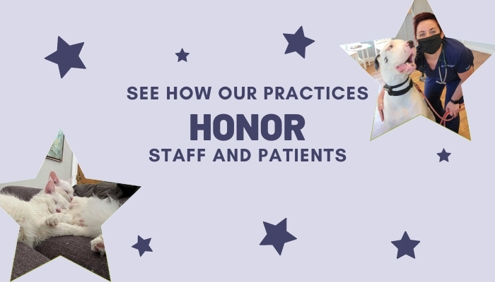 Honoring Our Practice Teams & Their Patients