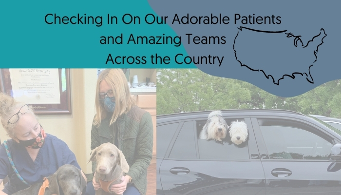 Adorable Patients Supported by Amazing Teams