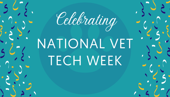 Celebrating National Vet Tech Week