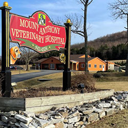 Mount Anthony Veterinary Hospital