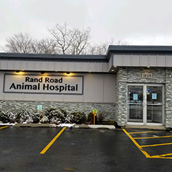 Rand Road Animal Hospital