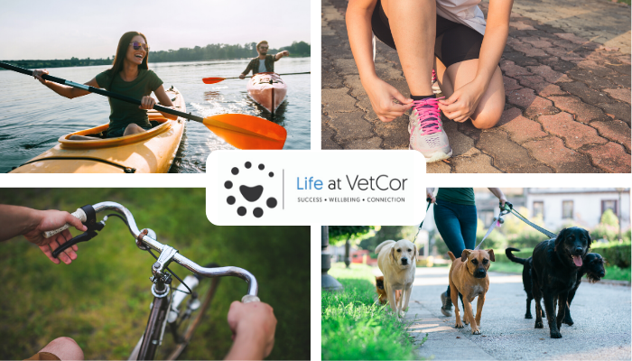 Take Advantage of the Life at VetCor Wellbeing Rewards Program