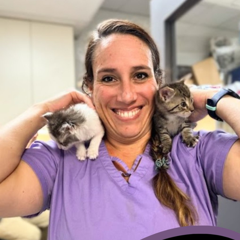 Millburn Veterinary Hospital