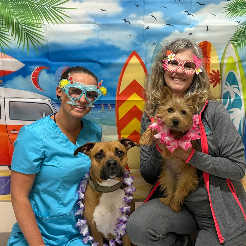 Fountain Valley Animal Hospital