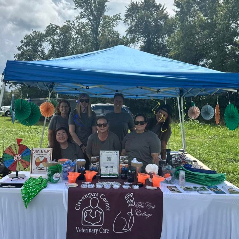 Clevengers Corner Veterinary Care