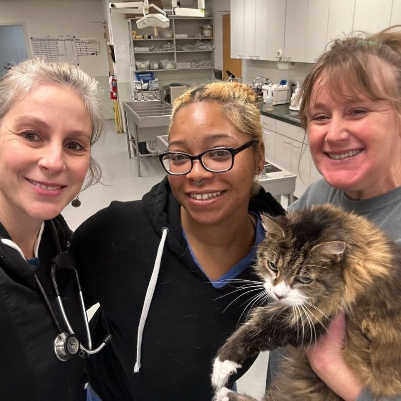 Gateway Animal Clinic