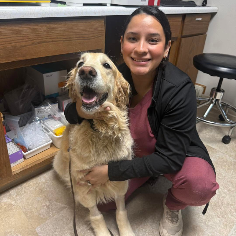 Germantown Animal Hospital