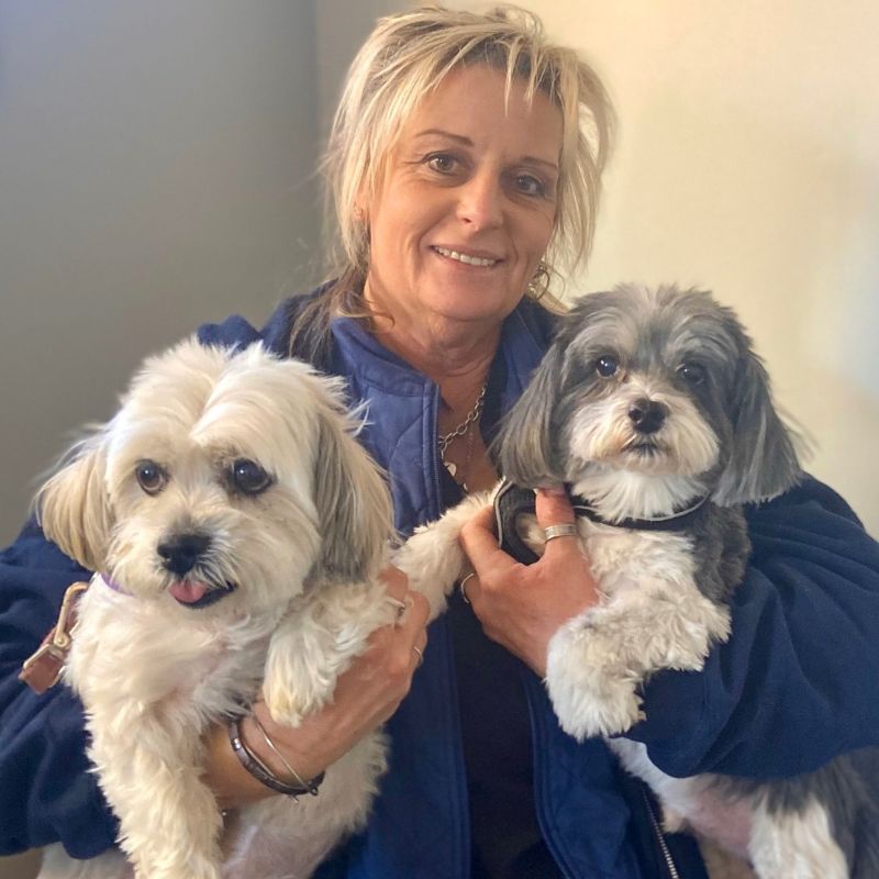 Somerset Veterinary Group