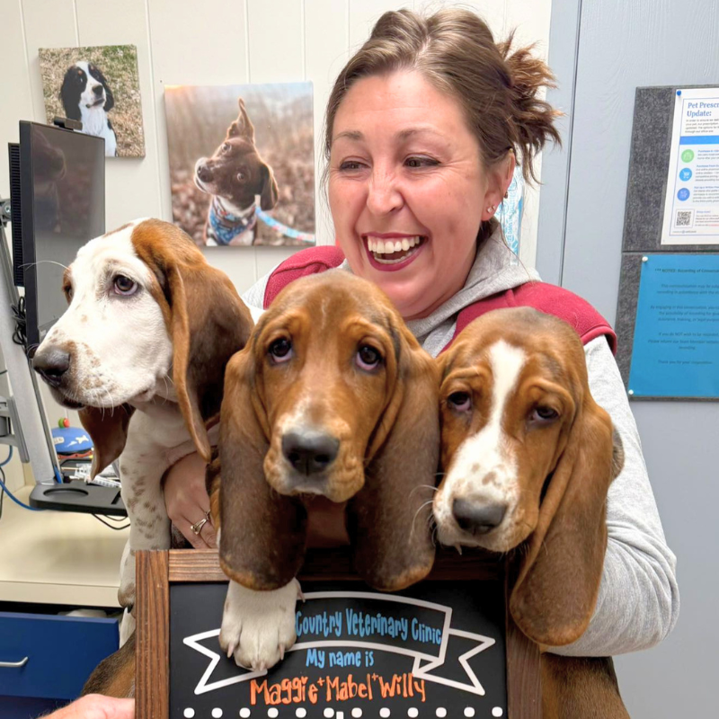 Town & Country Veterinary Clinic