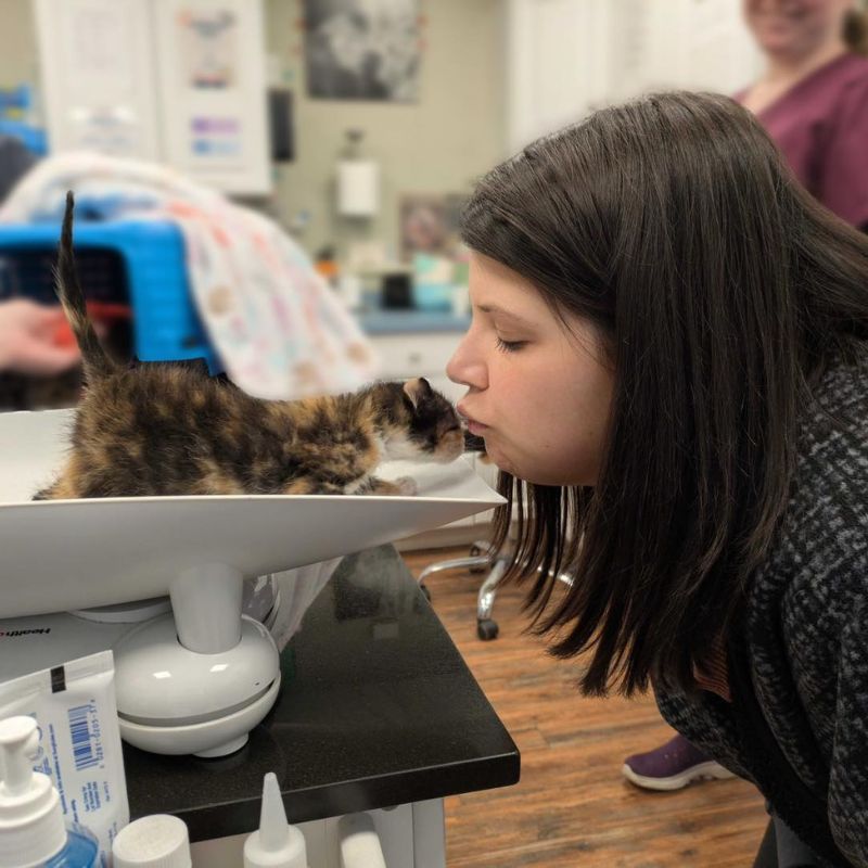 Weymouth Landing Cat Clinic