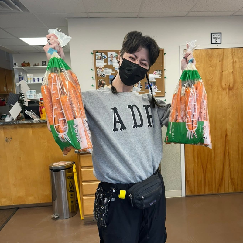 At Home Veterinary Care