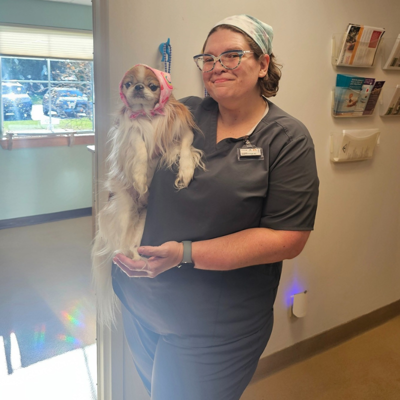 Tender Touch Veterinary Hospital