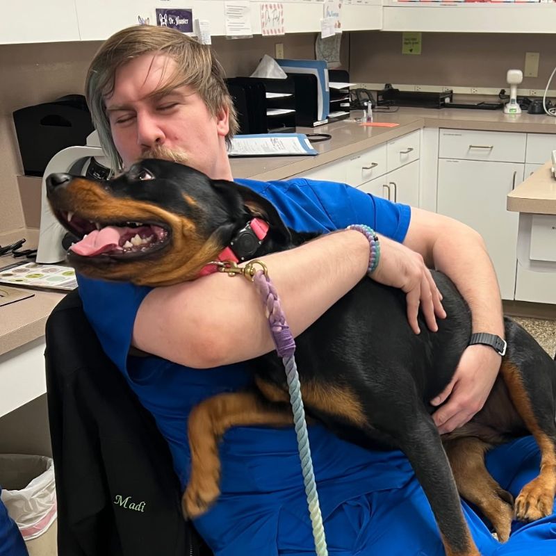 Towne South Animal Hospital 