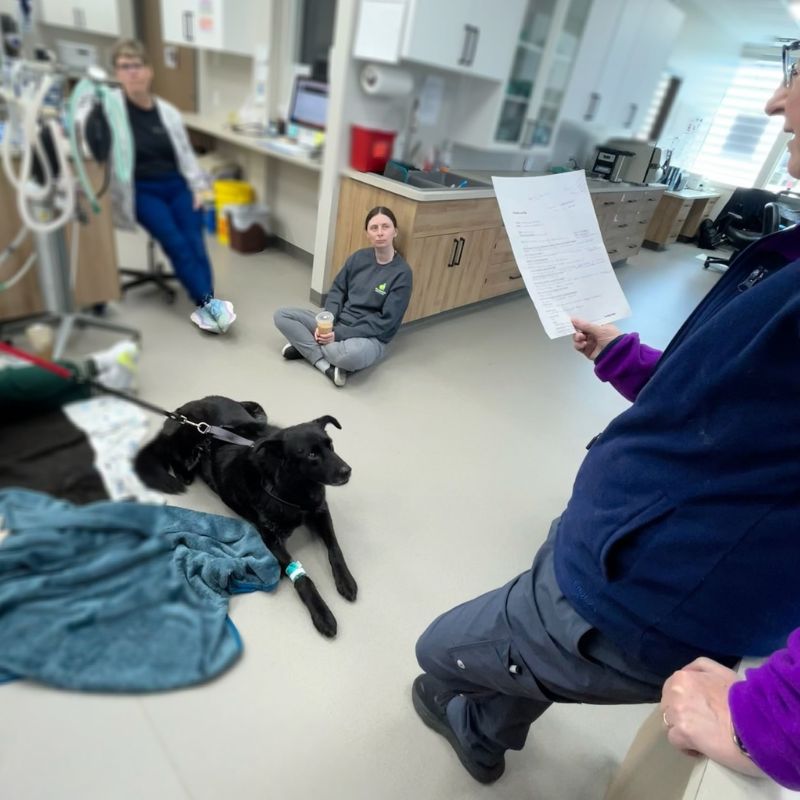 Willow Park Animal Clinic