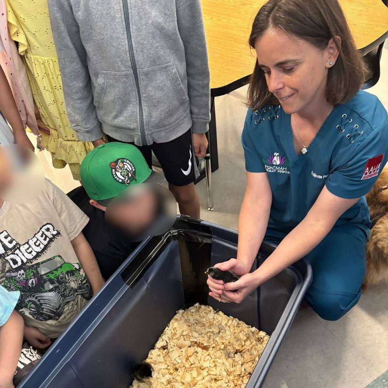 Ponemah Veterinary Hospital