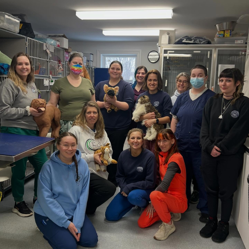 SeaPort Veterinary Hospital