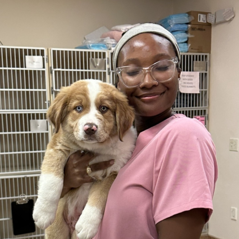 Animal Hospital of Celina