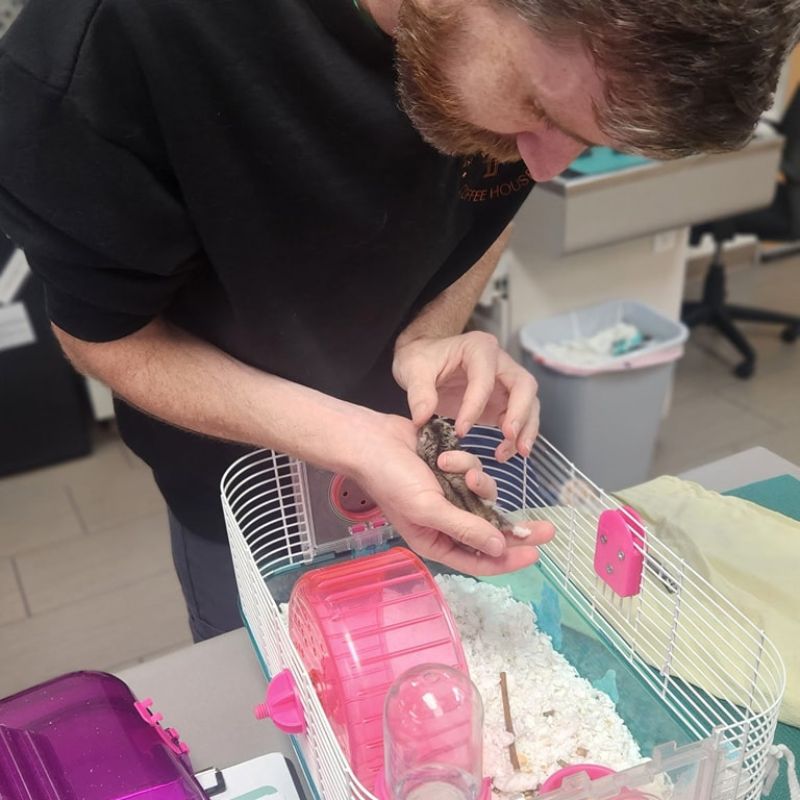 Amici Pet Hospital of Little Italy