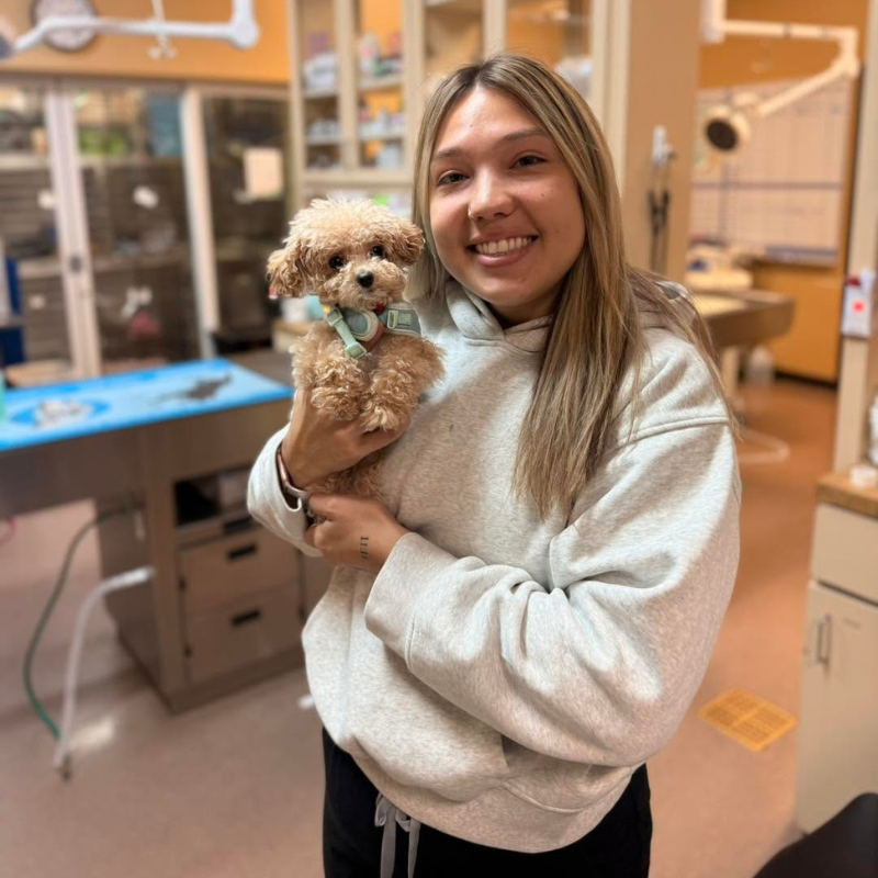Pet Medical Center of Pasco