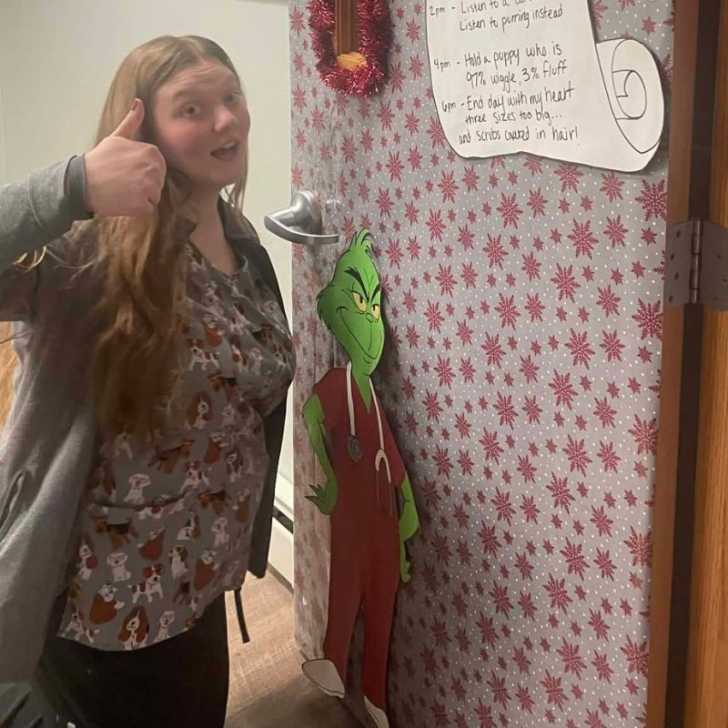 Bay View Veterinary Clinic