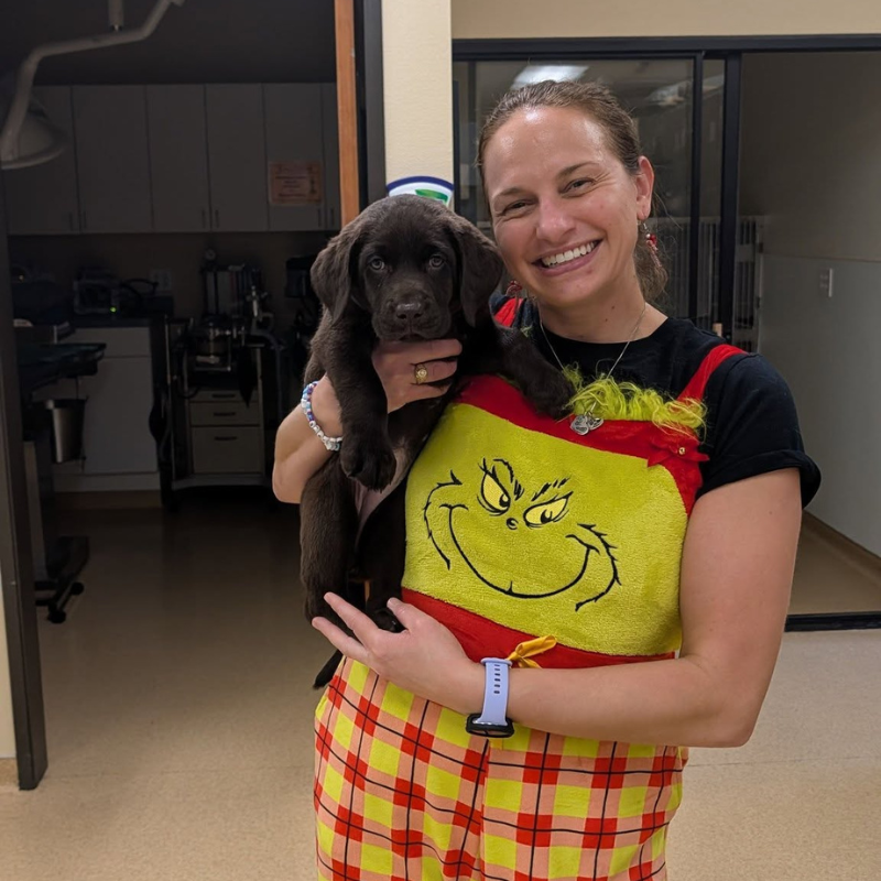 Boulevard Animal Hospital