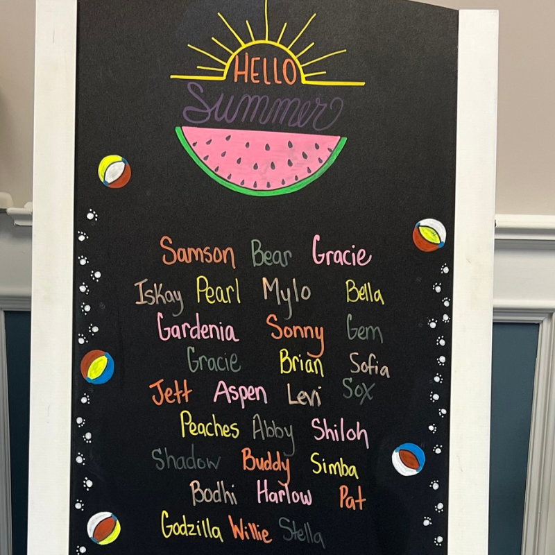 Calling All Creatures