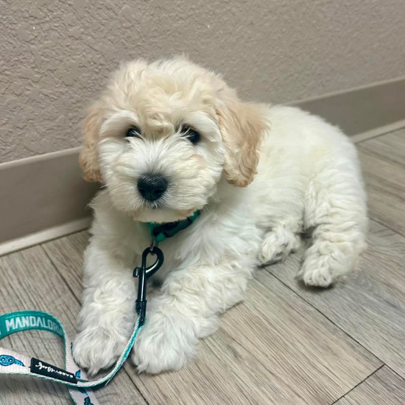 Creekside Animal Hospital