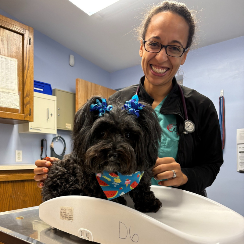 Goosepond Animal Hospital