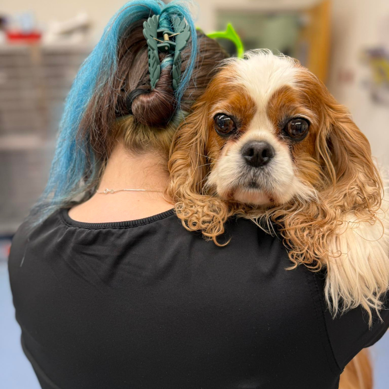 Hartfield Animal Hospital