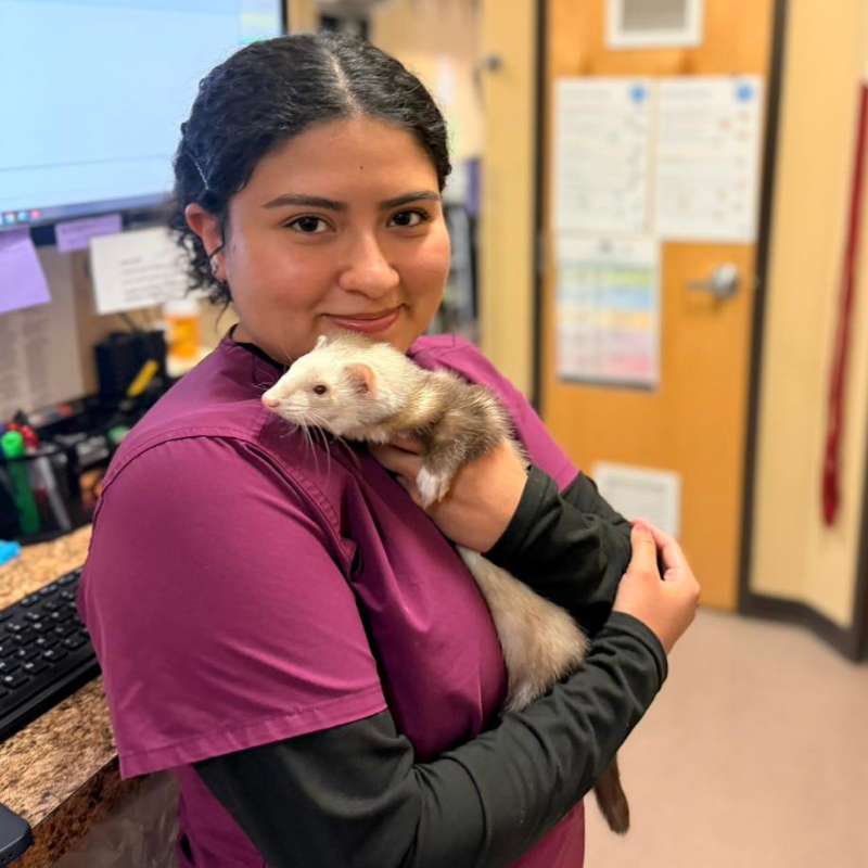 Pet Medical Center of Pasco
