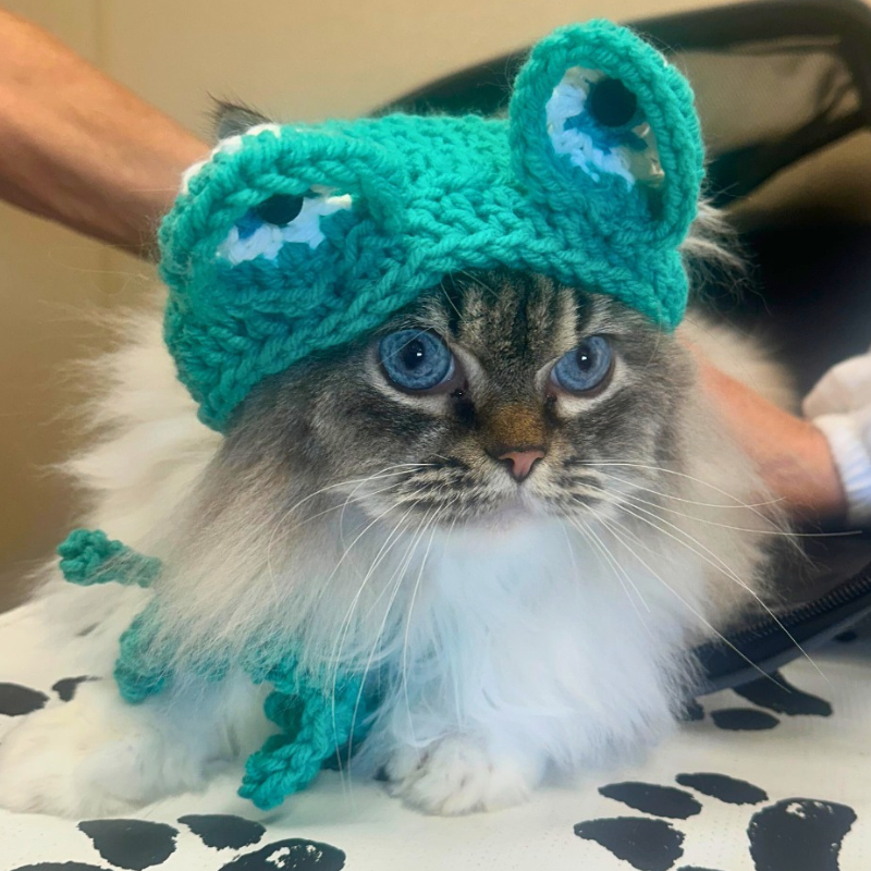 Pleasant Valley Animal Hospital