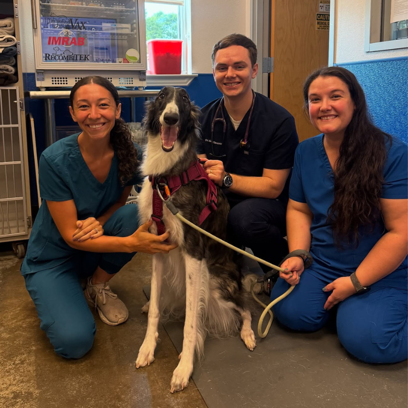 Premier Vet Care Animal Clinic