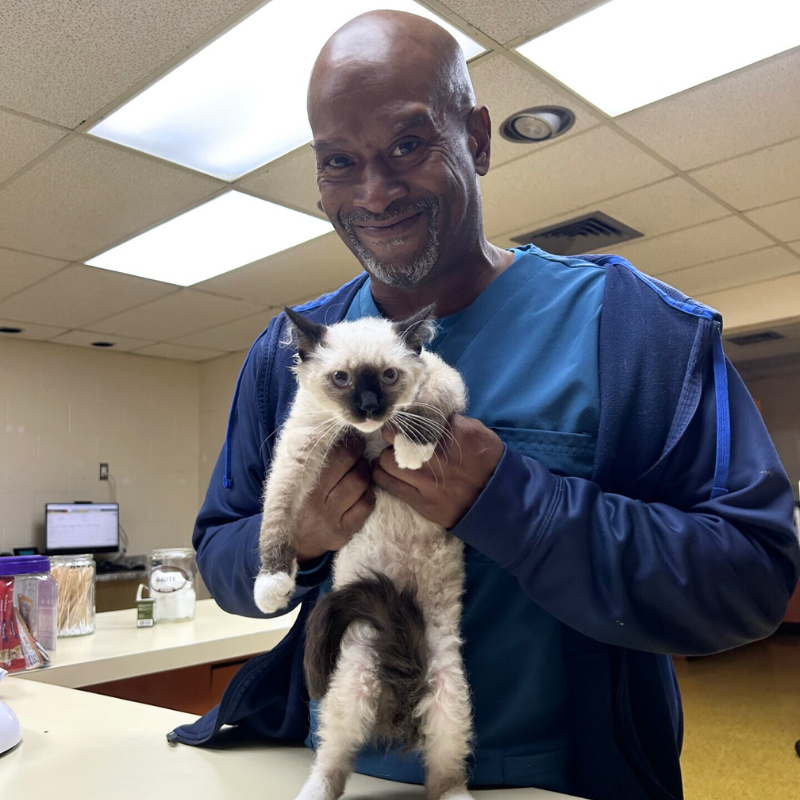 Roberts and Wendt Animal Hospital