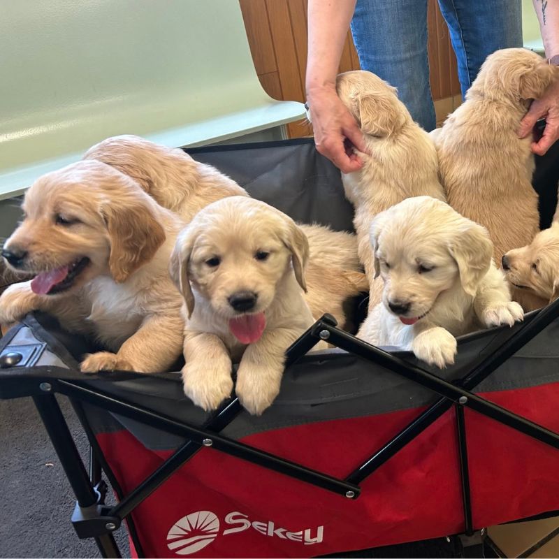 Russell Veterinary Hospital