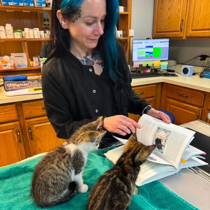 South Mill Veterinary Clinic