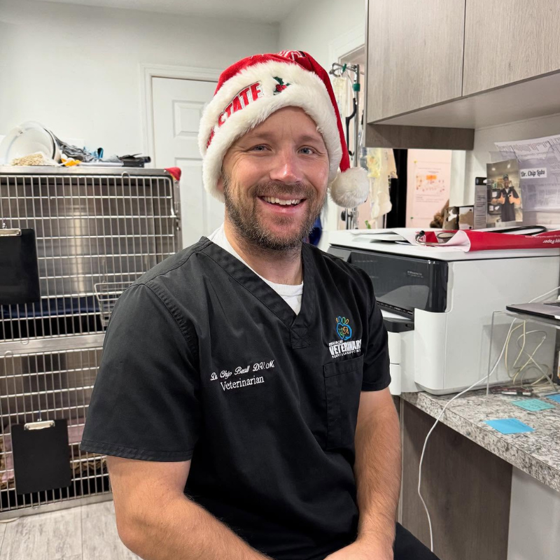 Springboro Veterinary Veterinary Hospital