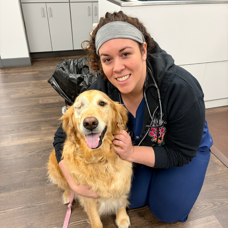 Springfield Animal Hospital 