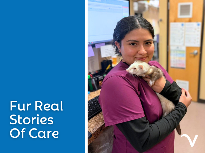 Fur Real Stories of Care