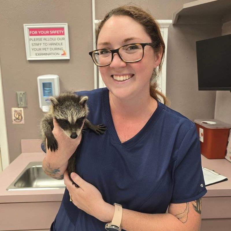 Verandah Pet Hospital