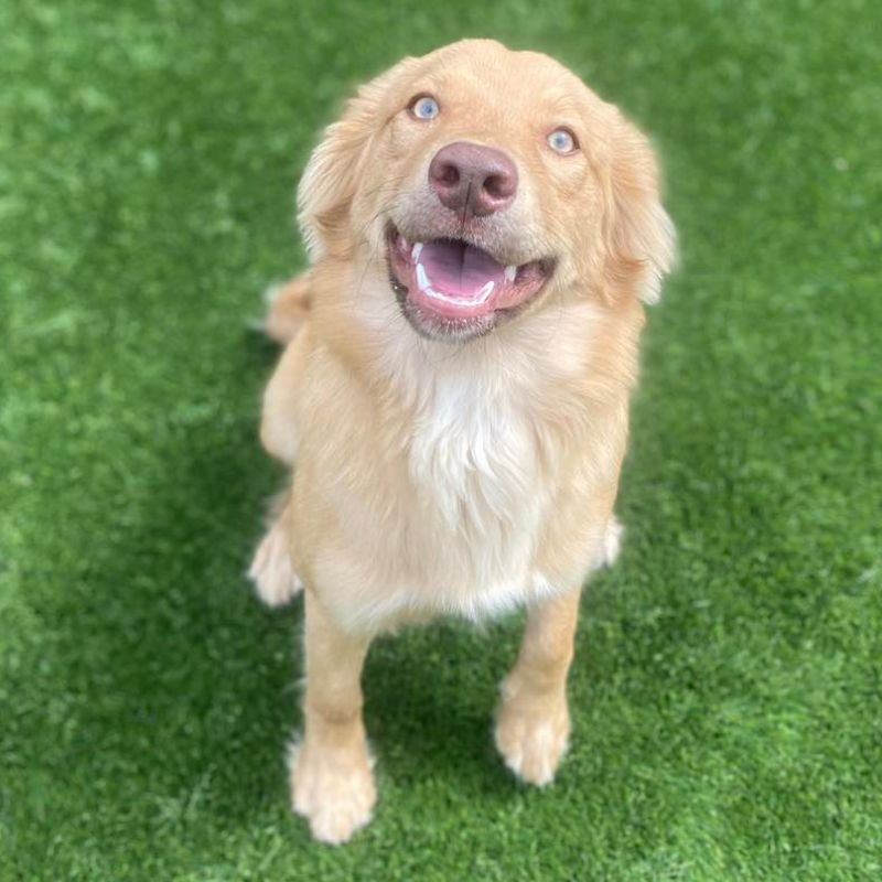 Weems Road Animal Hospital