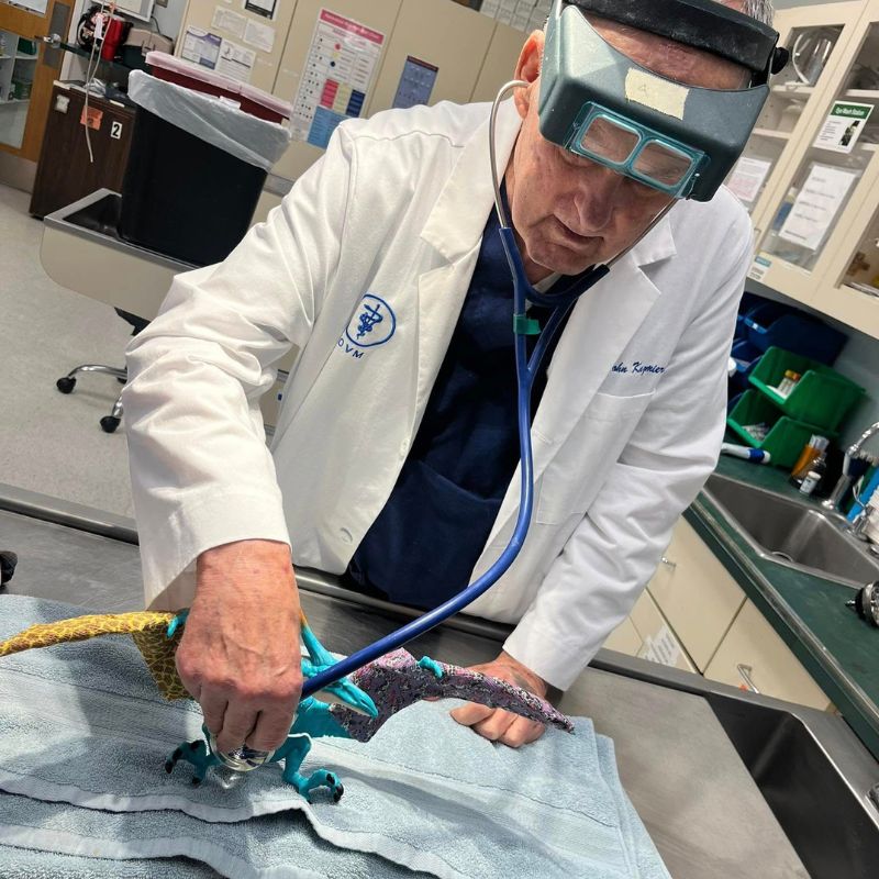 West Trenton Animal Hospital