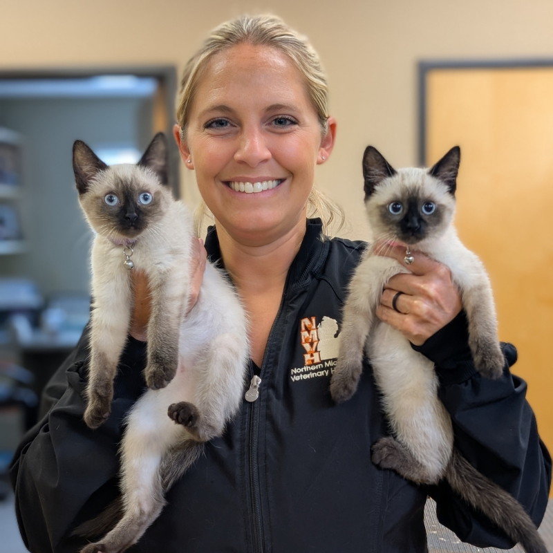 Northern Michigan Veterinary Hospital