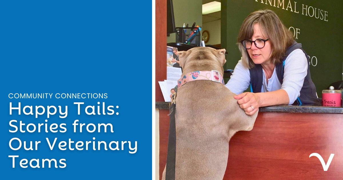 Happy Tails: Stories from Our Veterinary Teams