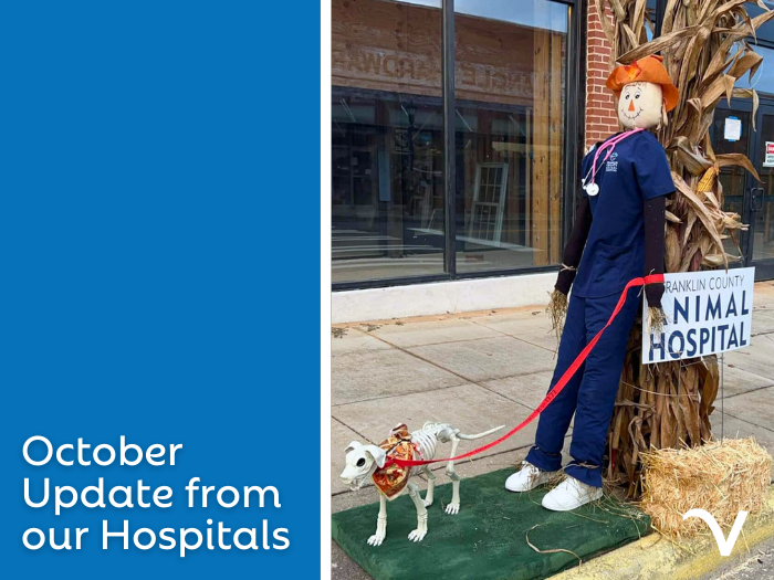 October Update from Our Hospitals