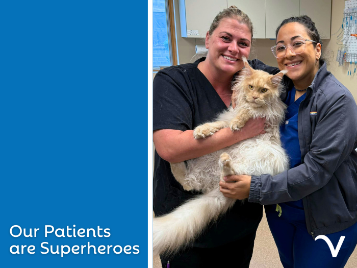 Our Patients are Superheroes