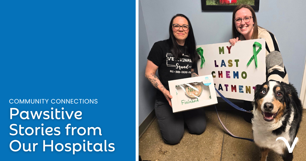 Pawsitive Stories from Our Hospitals