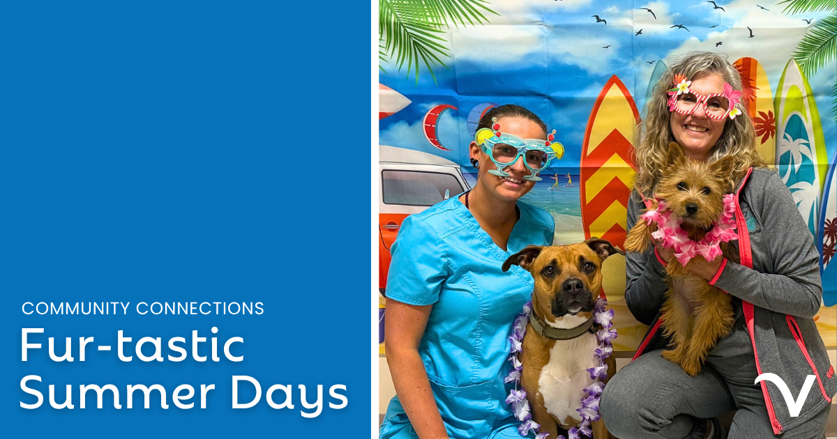 Fur-tastic Summer Days