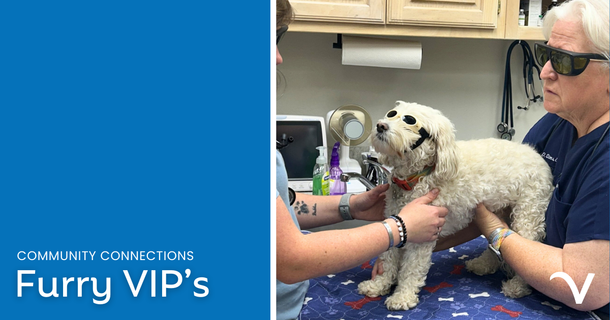 Furry VIPs at Our Practices