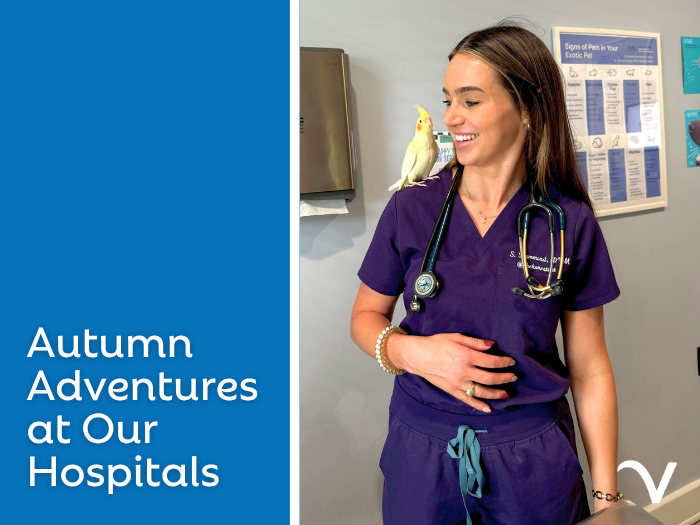 Autumn Adventures at Our Hospitals