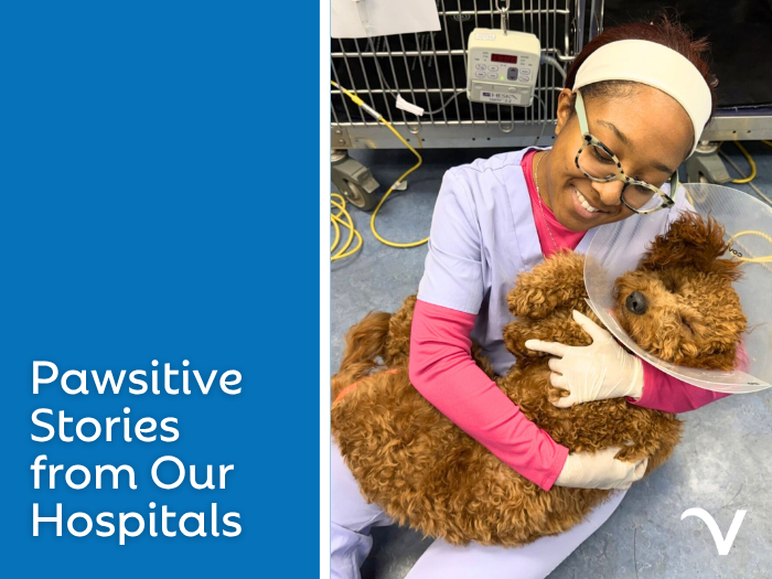 Pawsitive Stories from Our Hospitals